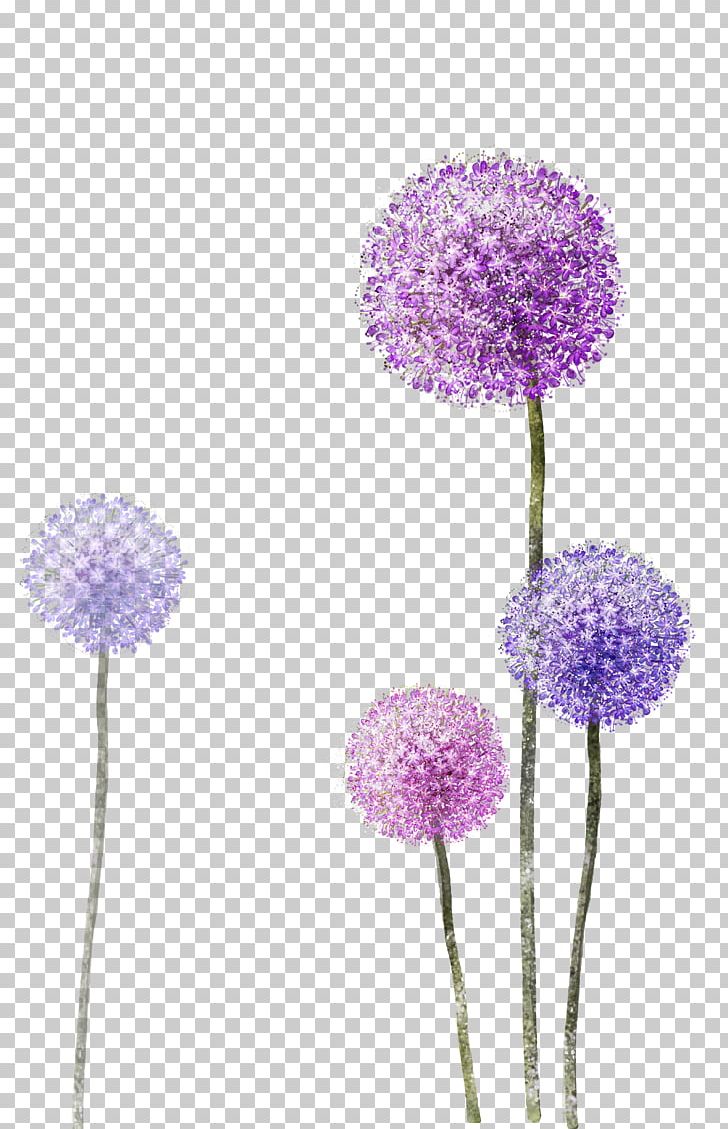 Paper PNG, Clipart, Color, Common Dandelion, Dandelion, Decorative Patterns, Download Free PNG Download