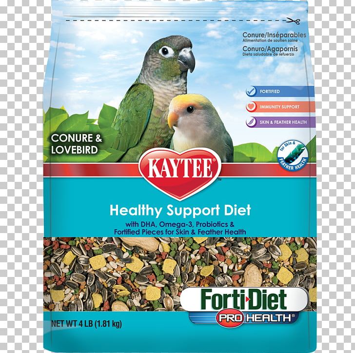 Parrot Lovebird Bird Food Cockatiel PNG, Clipart, Animals, Beak, Bird, Bird Food, Bird Supply Free PNG Download