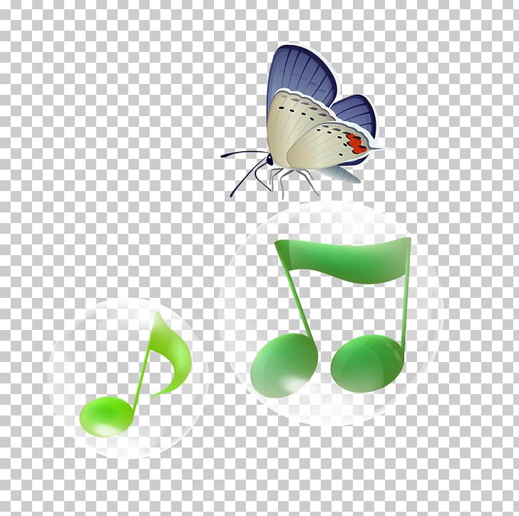 Musical Note Piano PNG, Clipart, Butterfly, Computer Wallpaper, Download, Green, Image Resolution Free PNG Download