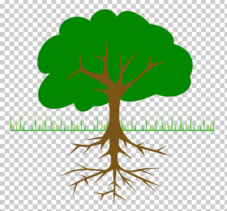 Tree Root Oak PNG, Clipart, Blog, Branch, Christmas, Christmas Tree, Clip Art Free PNG Download