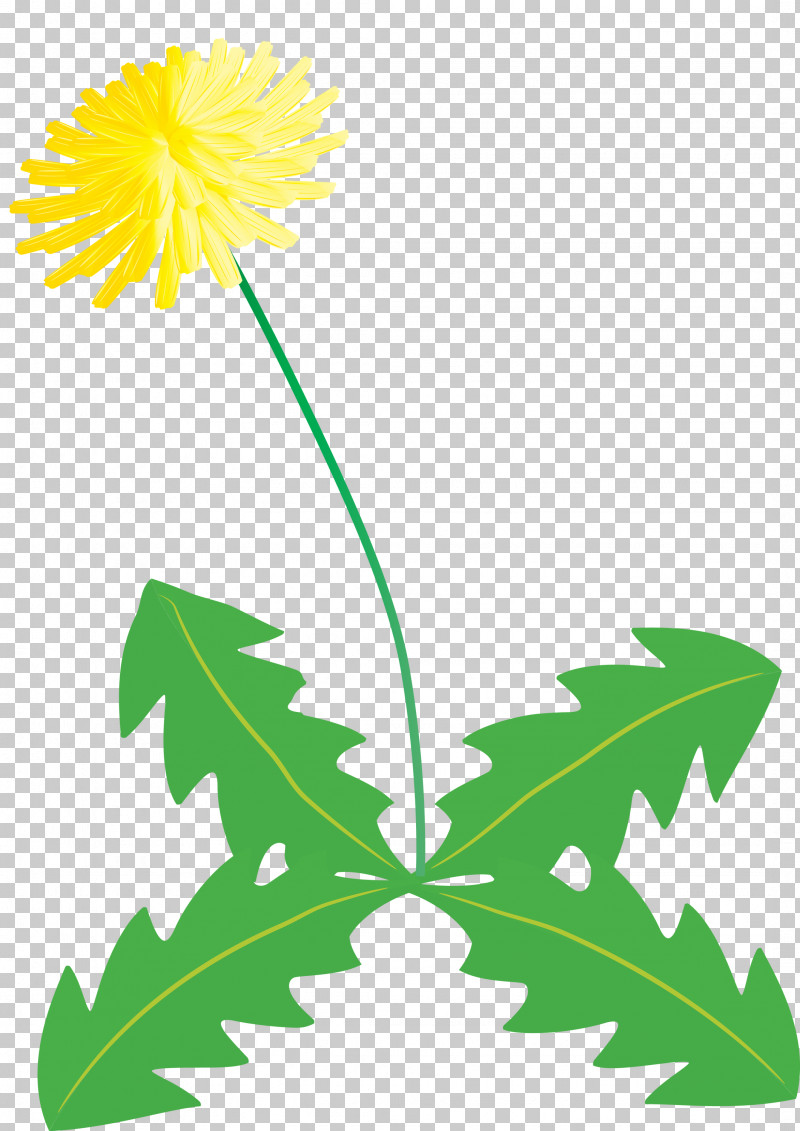 Dandelion Flower PNG, Clipart, Arums, Branch, Common Daisy, Dandelion Flower, Floral Design Free PNG Download