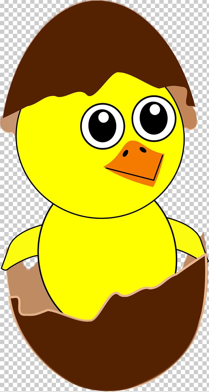 Chicken Cartoon PNG, Clipart, Area, Art, Artwork, Beak, Bird Free PNG Download
