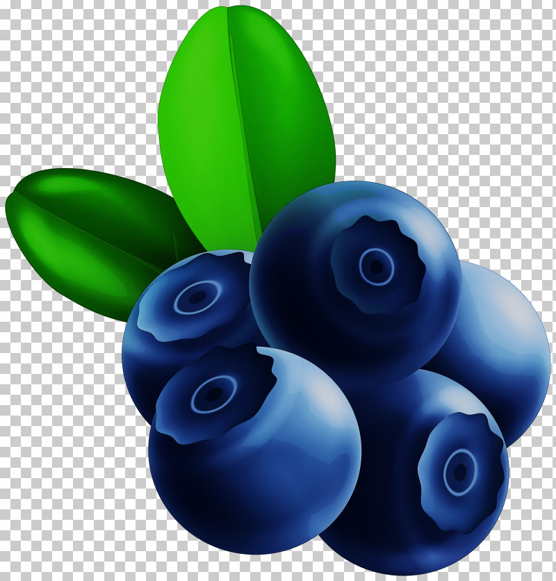 Blue Berry Fruit Bilberry Plant PNG, Clipart, Berry, Bilberry, Blue, Blueberry, Fruit Free PNG Download