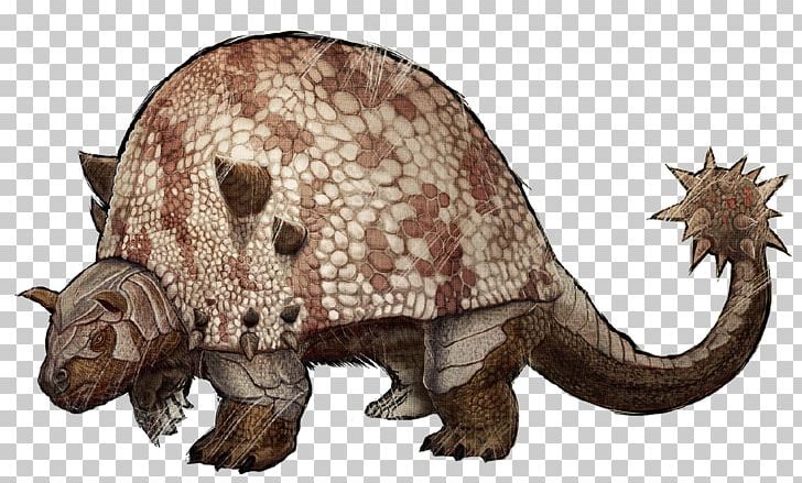 ARK: Survival Evolved Doedicurus Clavicaudatus Ankylosaurus Liopleurodon Glyptodont PNG, Clipart, Ark Survival Evolved, Armadillo, Creatures, Dinosaur, Diplocaulus Free PNG Download