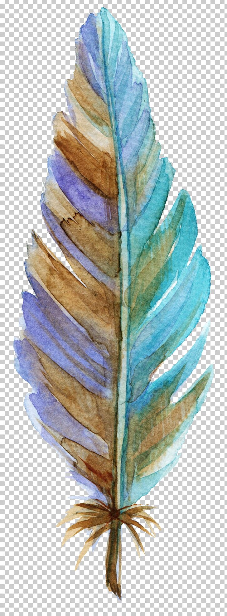 Leaf Feather Texture Mapping PNG, Clipart, Animals, Autumn Leaves, Blue, Blue Background, Color Free PNG Download