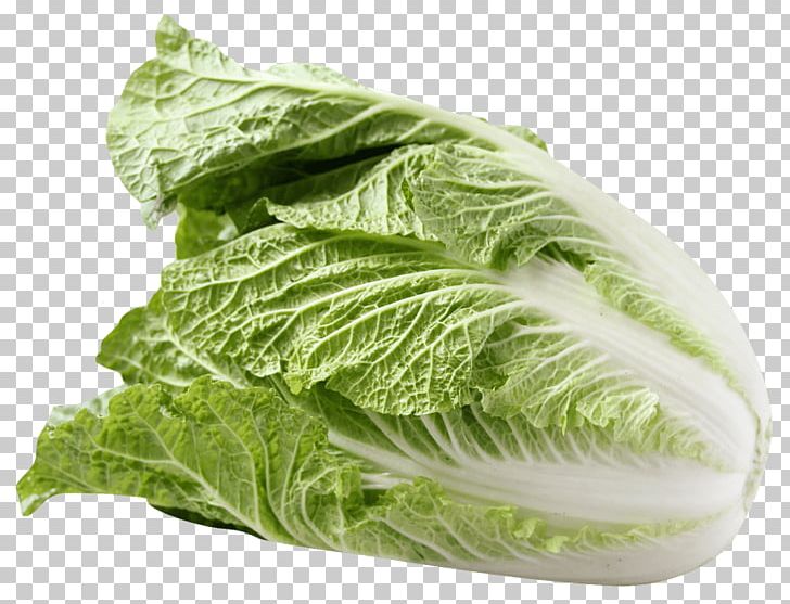 Romaine Lettuce Caesar Salad Chinese Cuisine Savoy Cabbage PNG, Clipart, Brassica Juncea, Brassica Oleracea, Cabbage, Cabbages, Caesar Salad Free PNG Download