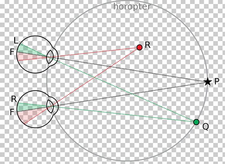 Binocular Vision Stereopsis Visual Perception Depth Perception Eye PNG, Clipart, Angle, Area, Binoculars, Binocular Vision, Circle Free PNG Download