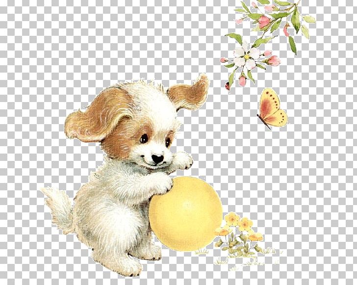 Cavachon Puppy Love Dog Breed Companion Dog PNG, Clipart, Animals, Breed, Carnivoran, Cavachon, Companion Dog Free PNG Download