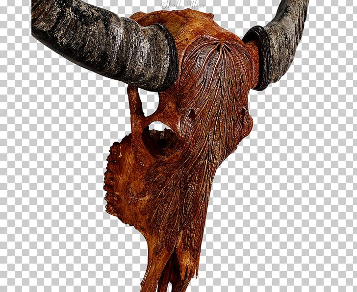 Animal Skulls Cattle Horn PNG, Clipart, American Bison, Animal, Animal Skulls, Antique, Antler Free PNG Download