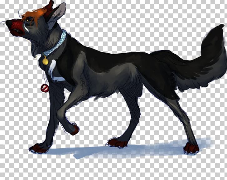 Australian Kelpie Dog Breed Razas Nativas Vulnerables PNG, Clipart, Australia, Australian Kelpie, Australians, Breed, Carnivoran Free PNG Download