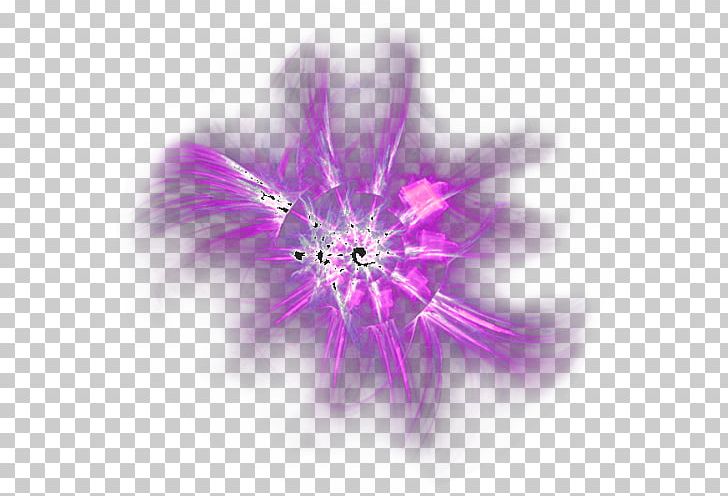 Purple Color PNG, Clipart, Art, Background Light, Closeup, Color, Computer Wallpaper Free PNG Download