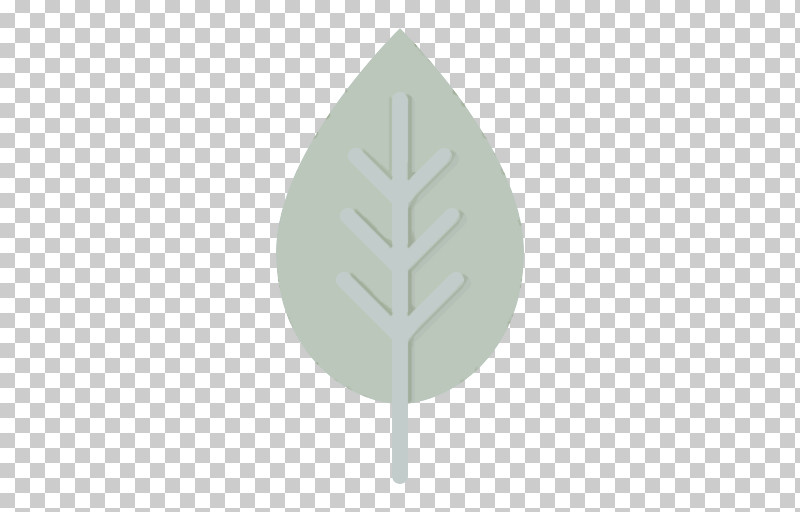 Leaf Green Tree Plant Pine Family PNG, Clipart, Green, Leaf, Pine Family, Plant, Tree Free PNG Download