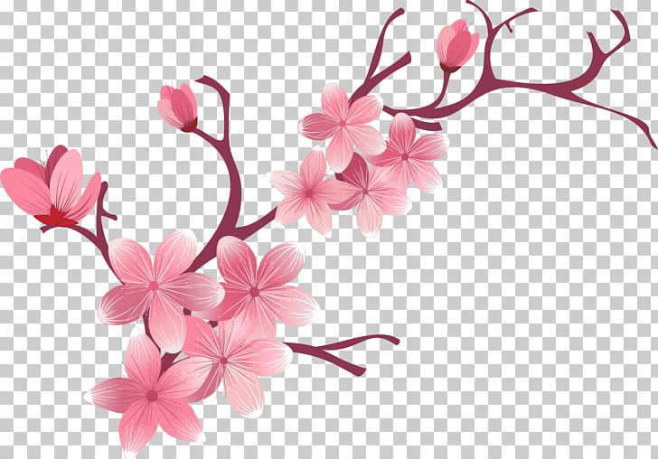 Cherry Blossom Flower PNG, Clipart, Azalea, Blossom, Branch, Cerasus, Cherry Free PNG Download