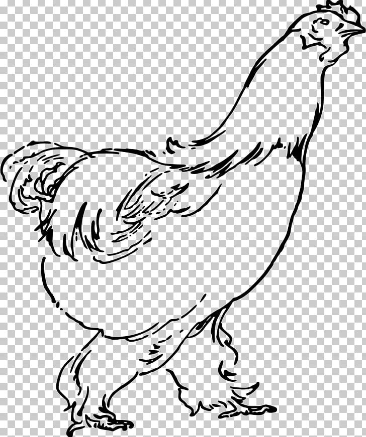 Chicken Soup Rooster Fried Chicken PNG, Clipart, Animals, Art, Artwork, Beak, Bird Free PNG Download
