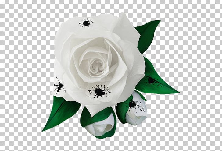 Garden Roses Rosa Chinensis Rosa Xd7 Alba White PNG, Clipart, Artificial Flower, Cartoon, Color, Cut Flowers, Desi Free PNG Download