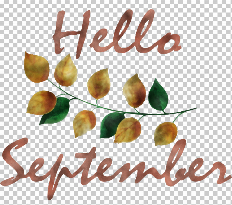 Hello September PNG, Clipart, Hello September, Meter, Natural Foods, Nut, Superfood Free PNG Download