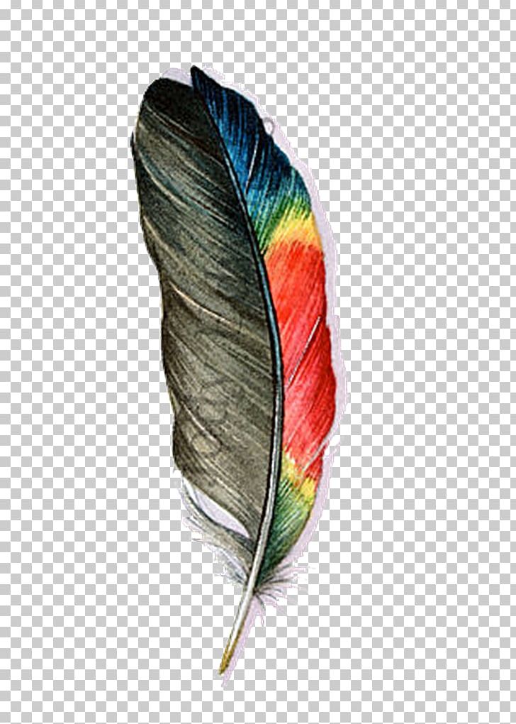Feather Parrot Bird Watercolor Painting PNG, Clipart, Animals, Art, Background, Background Size, Bird Free PNG Download