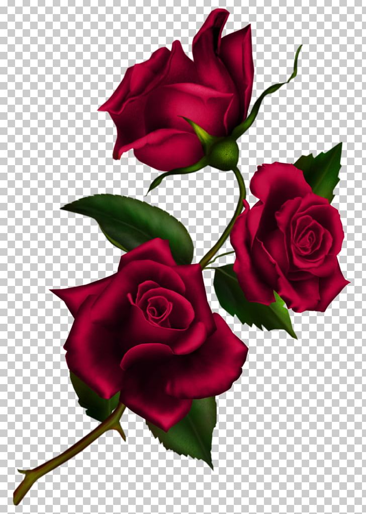 Rose Flower PNG, Clipart, Art, Black Rose, Cli, Color, Cut Flowers Free PNG Download