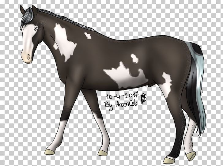 Stallion Mustang Mare Foal Colt PNG, Clipart, Bridle, Colt, Foal, Halter, Horse Free PNG Download