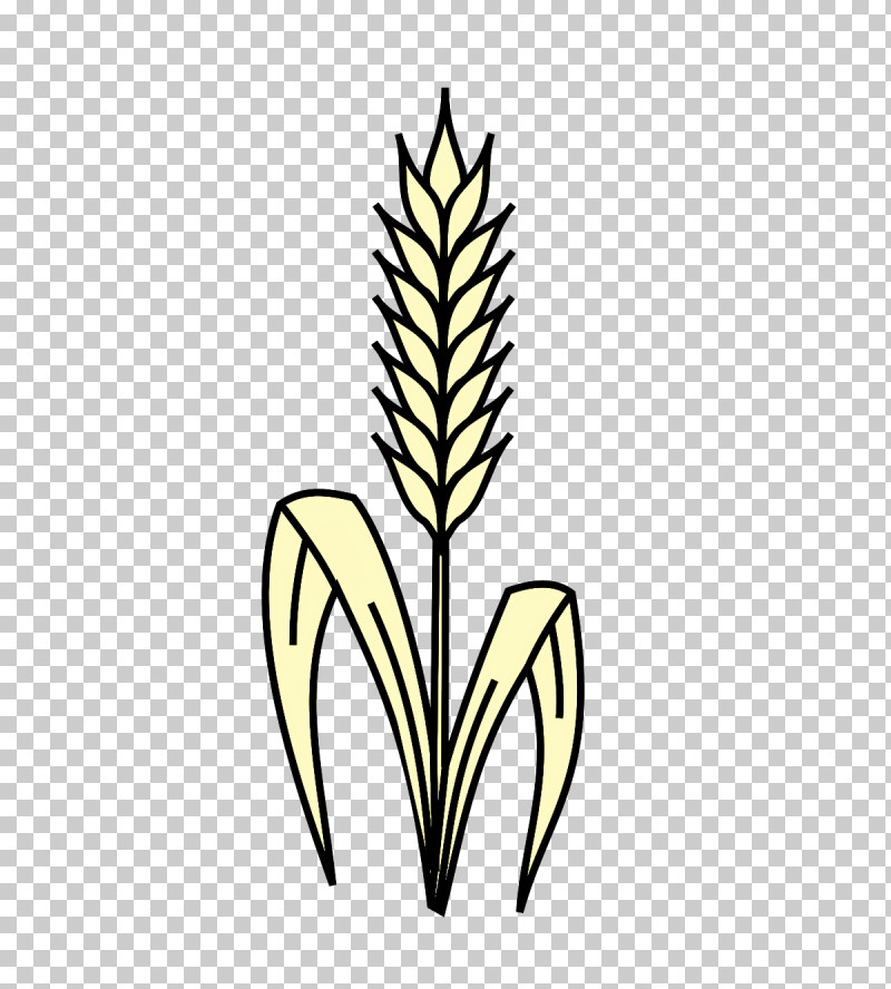 Grasses Leaf Plant Stem Flower Commodity PNG, Clipart, Commodity, Flower, Grain, Grasses, Leaf Free PNG Download