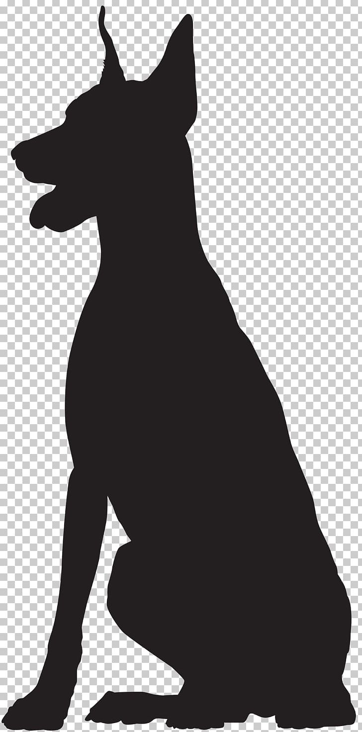 Dog Breed Black And White Snout PNG, Clipart, Animal, Black, Black And White, Carnivoran, Clipart Free PNG Download