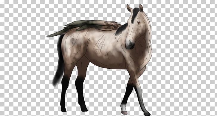 Foal Stallion Mare Mustang Colt PNG, Clipart, Animal Figure, Bridle, Colt, Dog Harness, Foal Free PNG Download