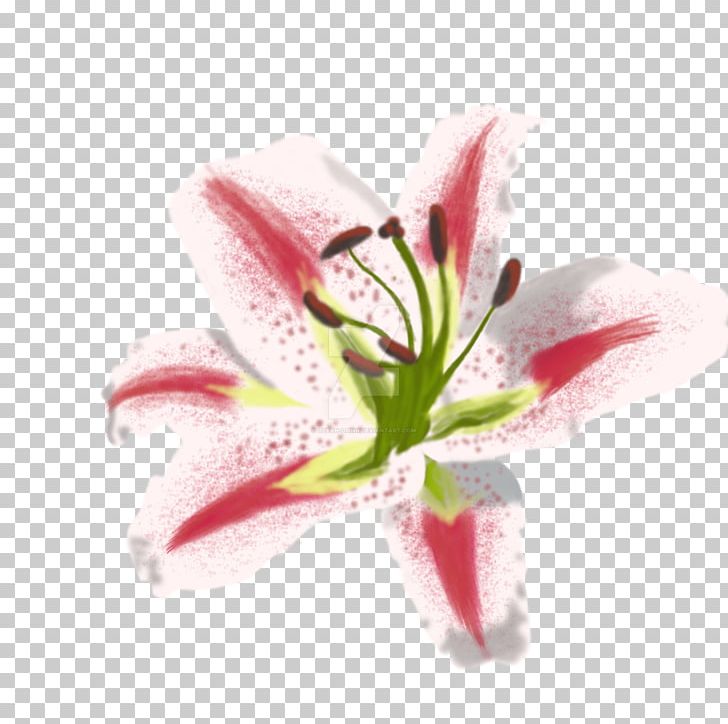 Lilium Painting Art Flower Still Life PNG, Clipart, Amaryllis Belladonna, Art, Artist, Cut Flowers, Deviantart Free PNG Download