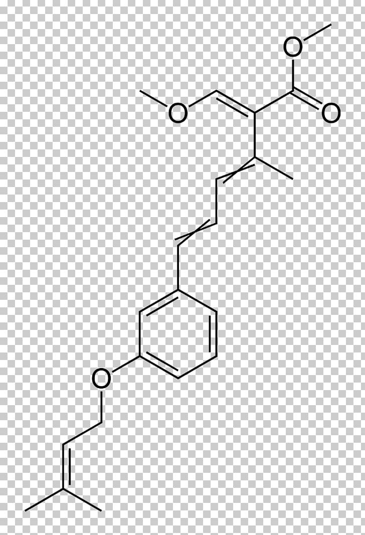 /m/02csf Point Angle Drawing Similarity PNG, Clipart, Angle, Area, Auto Part, Black And White, Car Free PNG Download