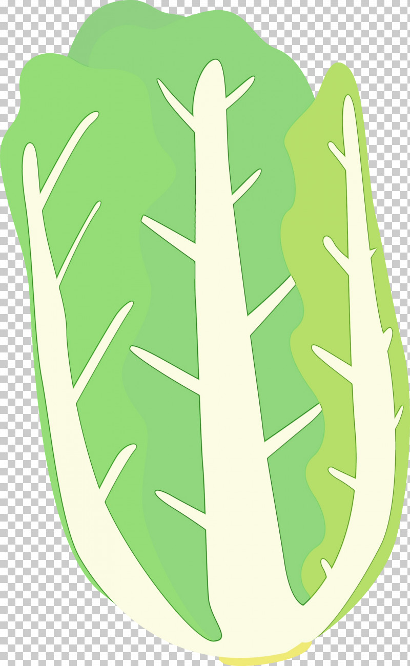 Green Leaf Plant PNG, Clipart, Green, Leaf, Nappa Cabbage, Paint, Plant Free PNG Download