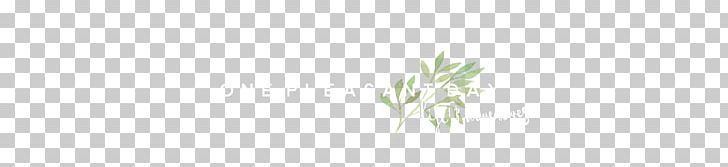 Grasses Desktop Leaf Plant Stem Close-up PNG, Clipart, Closeup, Closeup, Commodity, Computer, Computer Wallpaper Free PNG Download