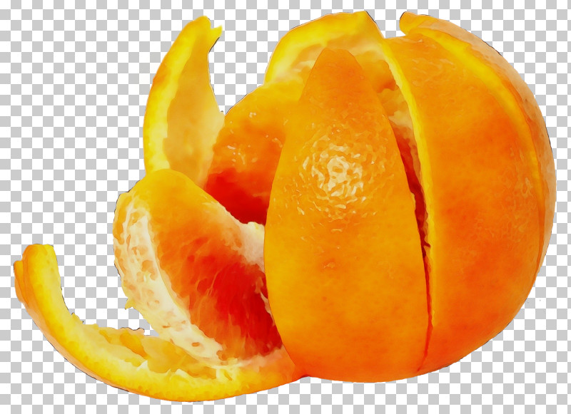 Orange PNG, Clipart, Bitter Orange, Citrus, Clementine, Fruit, Grapefruit Free PNG Download