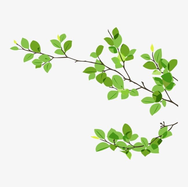 Branches PNG, Clipart, Branches, Branches, Dry, Dry Clipart, Dry Twigs Free PNG Download