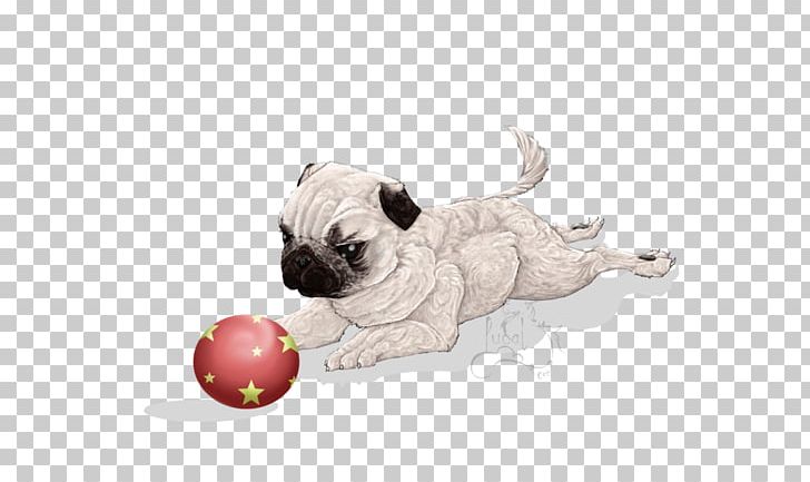 Pug Puppy Love Dog Breed Toy Dog PNG, Clipart, Breed, Carnivoran, Dog, Dog Breed, Dog Like Mammal Free PNG Download