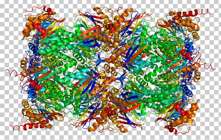 Threonine Protease Proteasome Serine Protease PNG, Clipart, Acid, Active Site, Amino Acid, Art, Aspartic Protease Free PNG Download