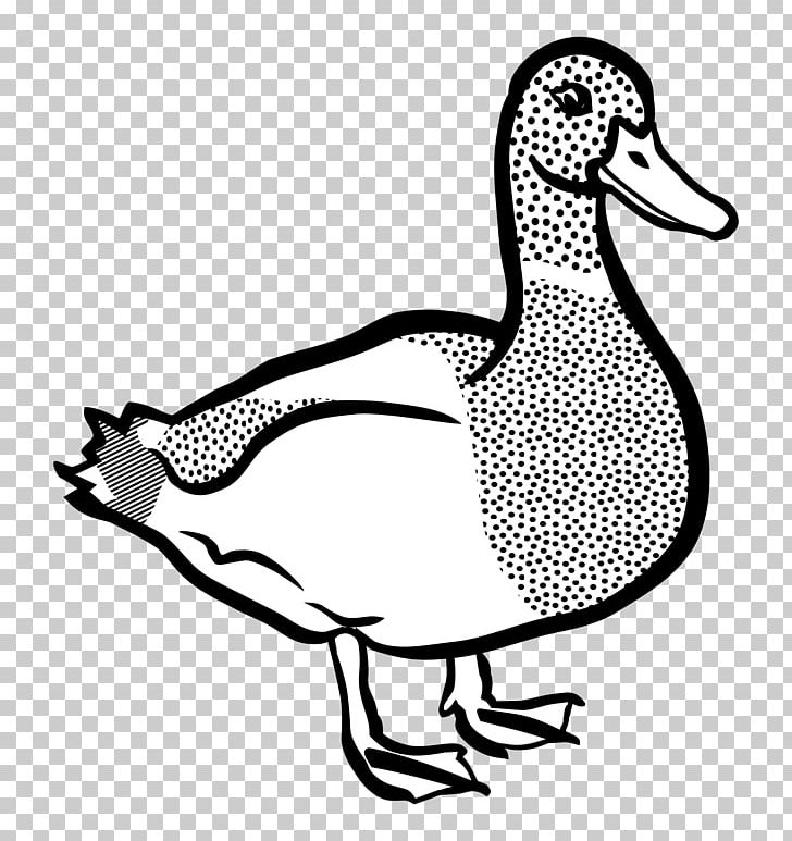 American Pekin Duck Mallard PNG, Clipart, American Pekin, Animal, Animals, Art, Artwork Free PNG Download