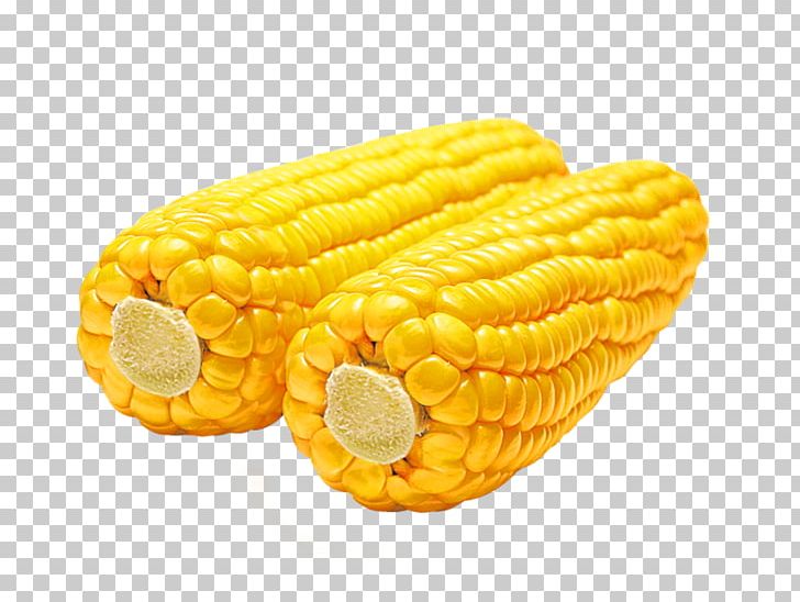 Corn PNG, Clipart, Corn Free PNG Download