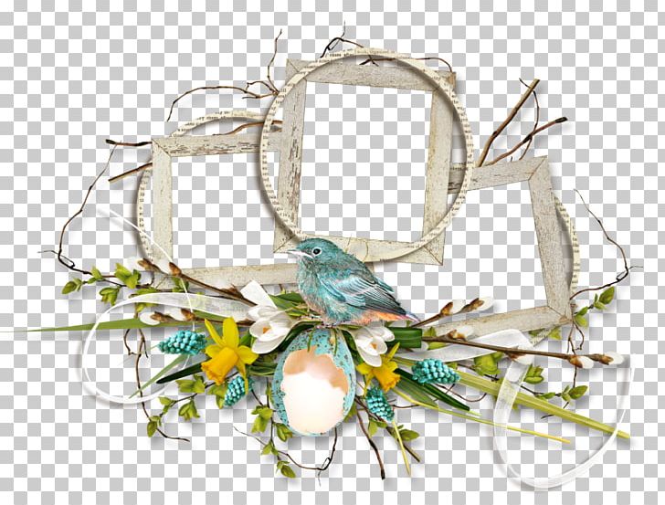 Information PNG, Clipart, Bird Nest, Branch, Digital Scrapbooking, Download, Editing Free PNG Download