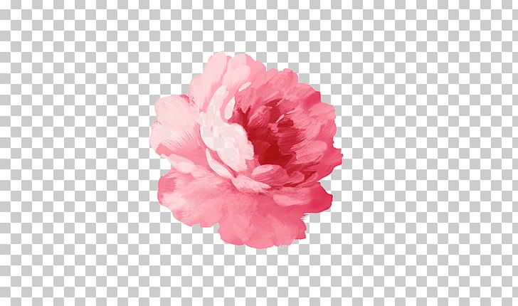 Paper T-shirt Flower Sticker Watercolor Painting PNG, Clipart, Bloom, Carnation, Color, Floral Design, Flower Free PNG Download
