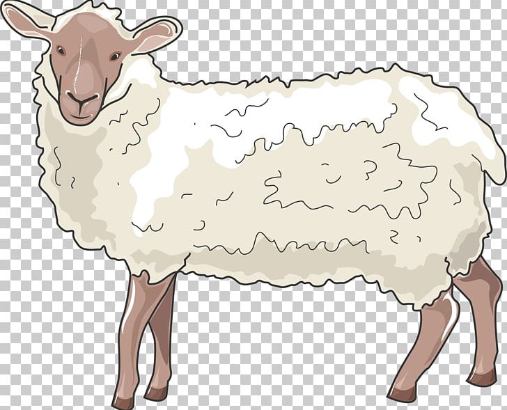 Barbary Sheep Cattle Ox Horn PNG, Clipart, Animal, Animal Figure, Animals, Barbary Sheep, Cattle Free PNG Download