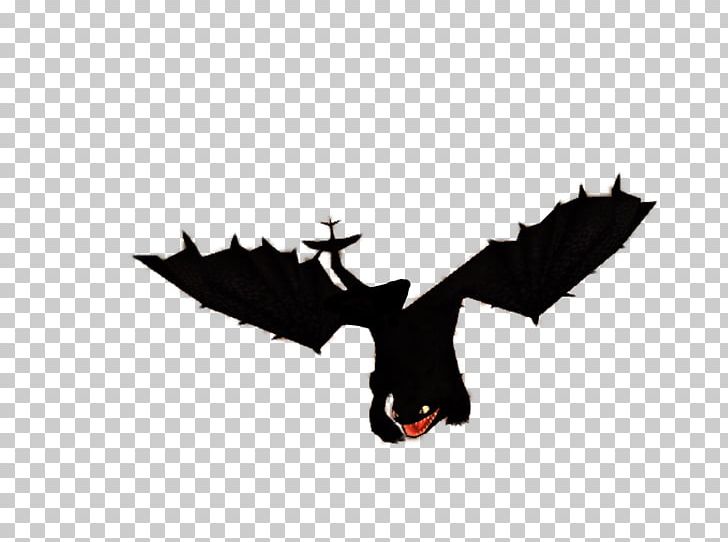 How To Train Your Dragon Toothless YouTube Character PNG, Clipart, Bat, Beak, Bird, Bird Of Prey, Black Free PNG Download