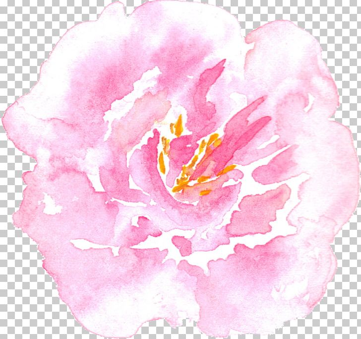 Peony Watercolor Painting Centifolia Roses PNG, Clipart, Adobe Illustrator, Encapsulated Postscript, Flower, Hand, Herbaceous Plant Free PNG Download