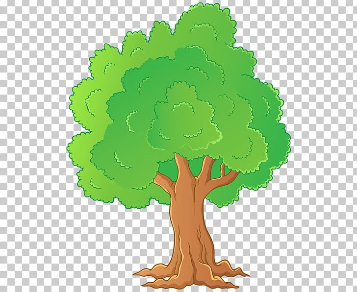 Tree PNG, Clipart, Art, Bbcode, Coast Redwood, Color, Document Free PNG Download