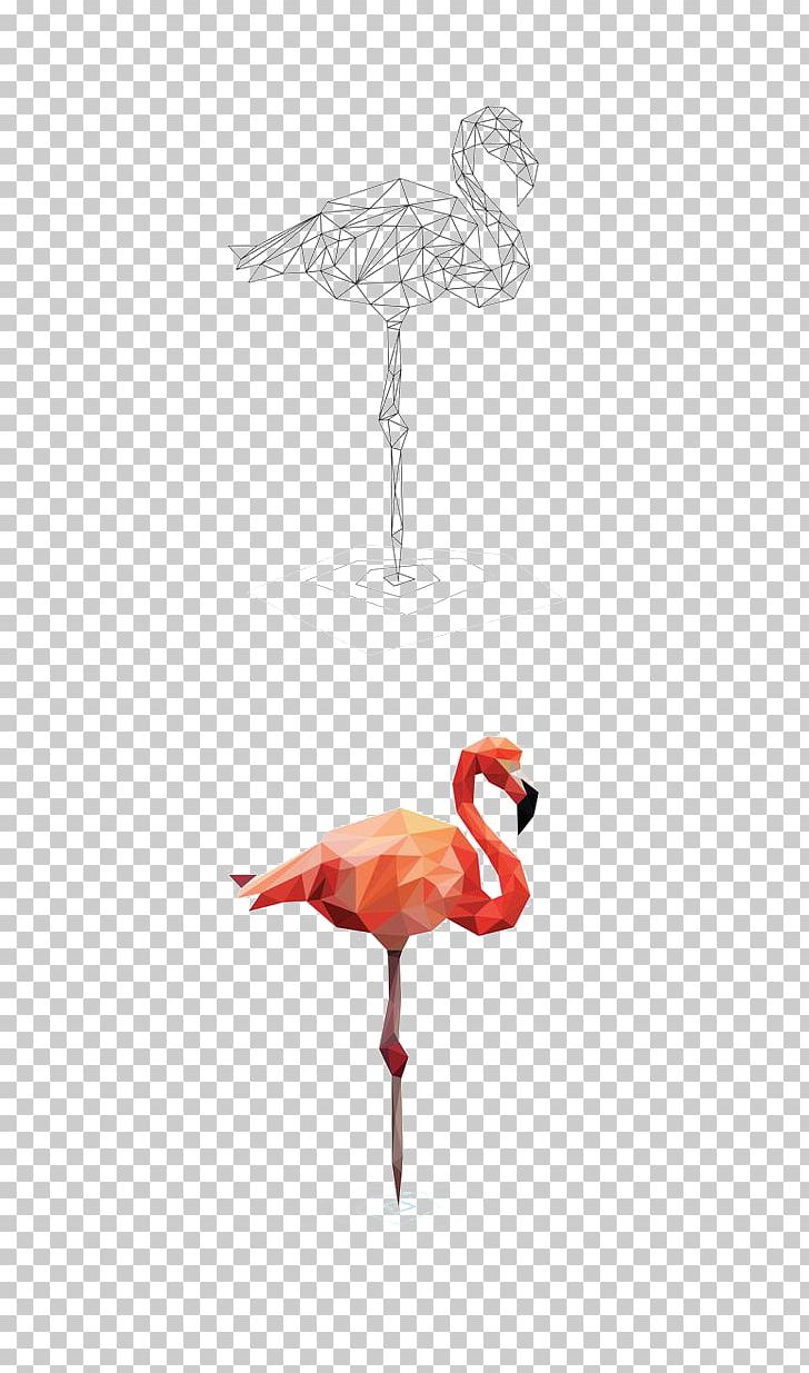 Bird Crane Beak Wing Red PNG, Clipart, Animal, Animals, Beak, Bird, Birds Free PNG Download