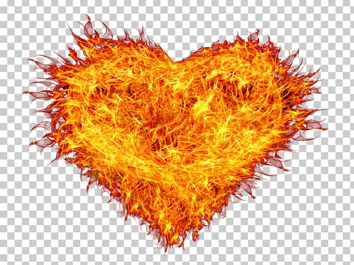 Fire Flame Combustion PNG, Clipart, Combustion, Computer Wallpaper, Conflagration, Desktop Wallpaper, Exothermic Process Free PNG Download