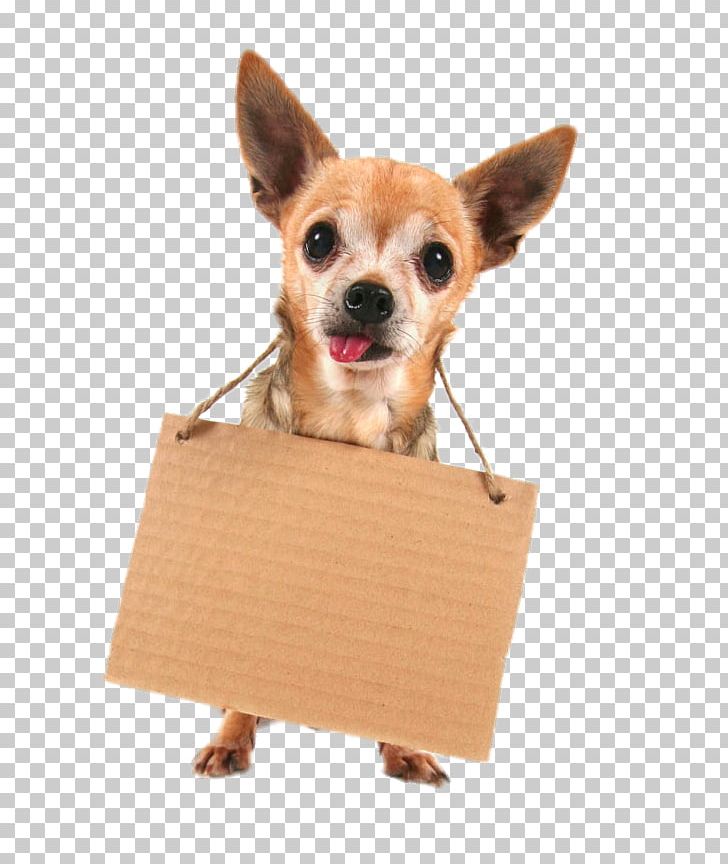 Chihuahua Yorkshire Terrier French Bulldog German Shepherd Shih Tzu PNG, Clipart, Animals, Board, Body, Body Parts, Carnivoran Free PNG Download