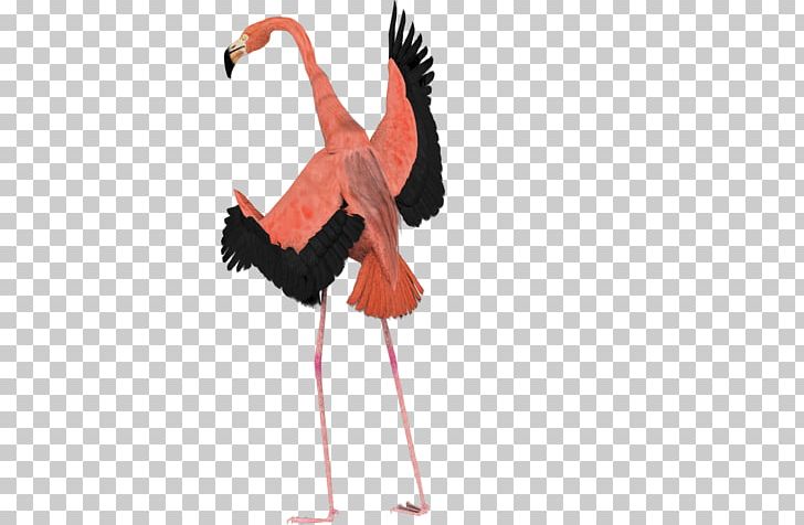 Bird Flamingo YouTube Art PNG, Clipart, 3d Modeling, Art, Beak, Bird, Ciconiiformes Free PNG Download