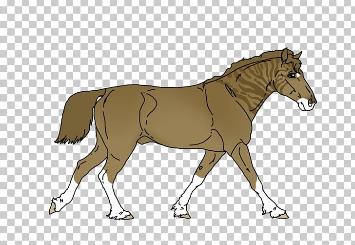 Mule Horse Foal Pony Stallion PNG, Clipart, Animals, Art, Colt, Deviantart, Donkey Free PNG Download