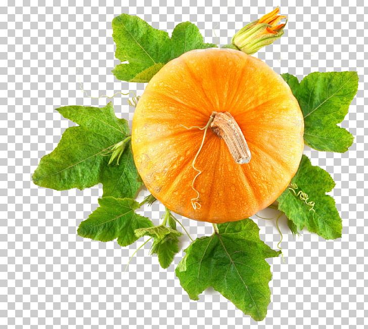 Pumpkin Food Stock Photography PNG, Clipart, Cucurbita, Download, Fruit, Halloween Pumpkin, Harvest Free PNG Download