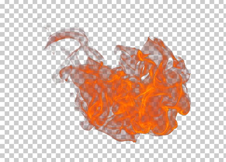 Fire Flame Computer Icons PNG, Clipart, Classical Element, Computer Icons, Drawing, Feuer, Fire Free PNG Download