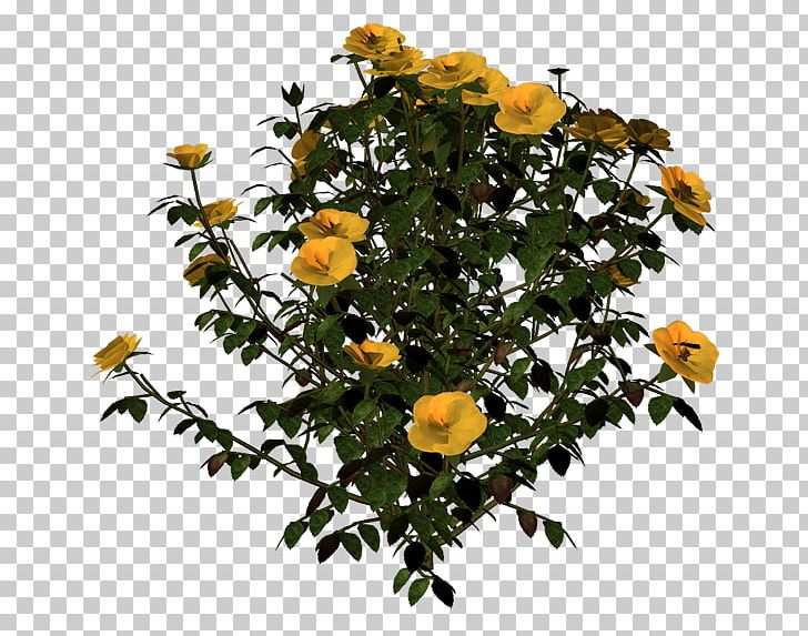 Shrub Tree Flower PNG, Clipart, Creative, Creative Floral Patterns, Cut Flowers, Decoration Image, Flowers Free PNG Download